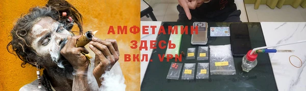 индика Алексеевка