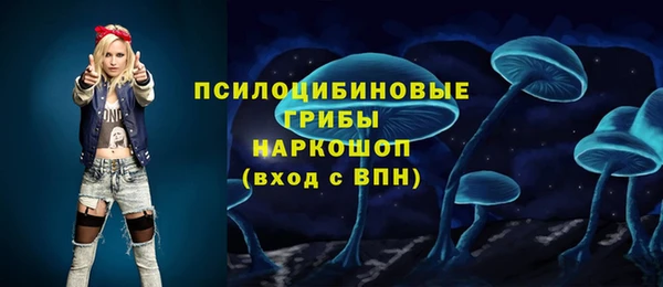 индика Алексеевка