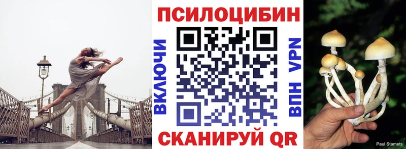 darknet официальный сайт  Малоархангельск  Псилоцибиновые грибы мицелий 